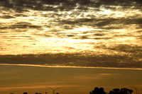 _DSC0144